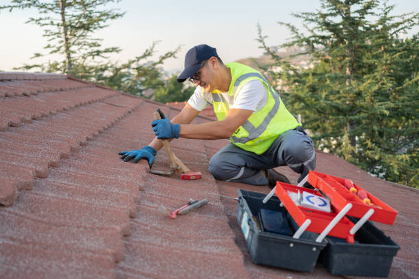 Best Commercial Roofing Services  in Lake Holiday, IN