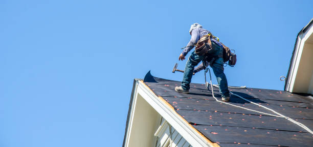Best Roof Repair Services  in Lake Holiday, IN